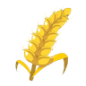 Blé