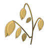 Avoine