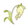 Millet