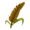 Malt