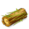 Bois d'Orme
