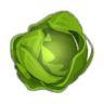 Feuille de salace