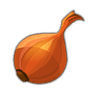 Oignon