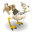 Dragodinde Amande
