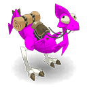 Dragodinde Orchidée