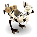 Dragodinde Amande et Ebène