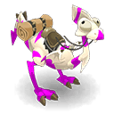Dragodinde Amande et Orchidée