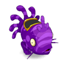 Muldo Prune