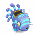 Muldo Turquoise et Indigo